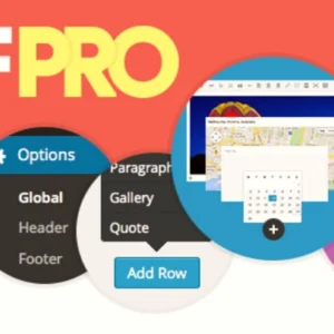 Advanced Custom Fields (ACF) Pro