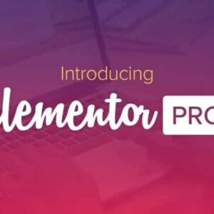 Elementor PRO WordPress Page Builder + Pro Templates