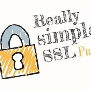 Really Simple Security Pro