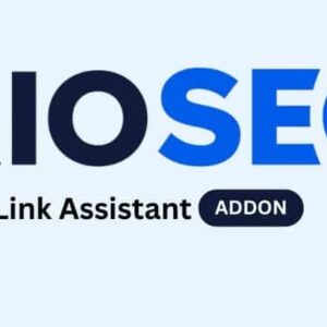 AIOSEO Link Assistant Addon