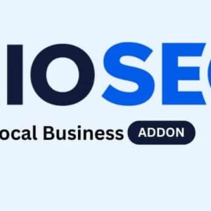 AIOSEO Local Business Addon