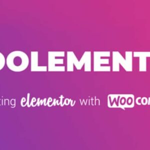 CoDesigner Pro – Formerly Woolementor PRO