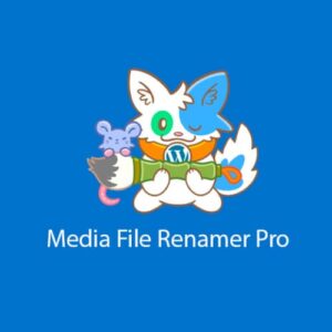 Media File Renamer Pro