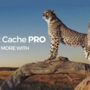 WP Fastest Cache Premium WordPress Plugin