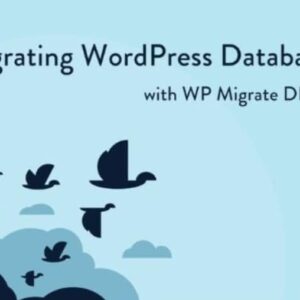 WP Migrate DB Pro – WordPress Site Migration Plugin