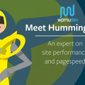 WPMU DEV Hummingbird Pro