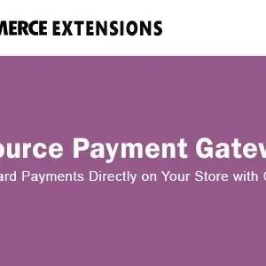 Woocommerce CyberSource Payment Gateway