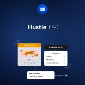 WPMU DEV Hustle