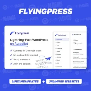 FlyingPress Pro – Lightning-Fast WordPress on Autopilot