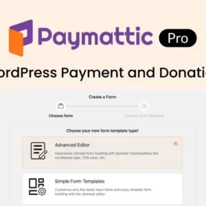 Paymattic Pro – WordPress Payment and Donation