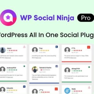 WP Social Ninja Pro – WordPress All In One Social Plugin
