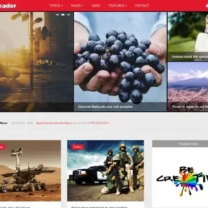 Reader – News & Magazine Drupal Theme