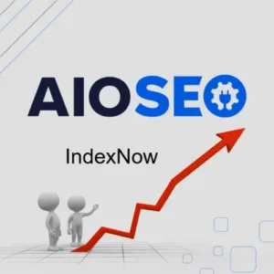 AIOSEO IndexNow Addon