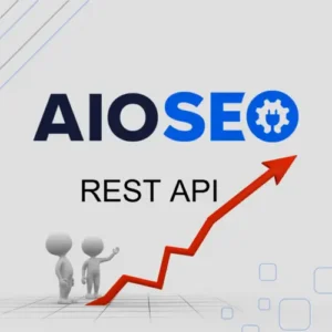 AIOSEO REST API Addon