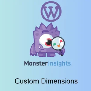 MonsterInsights Custom Dimensions Addon