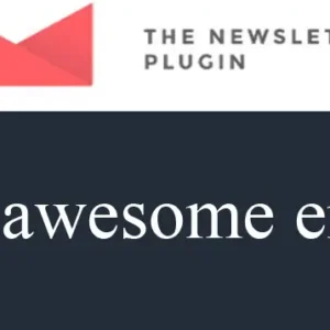 Newsletter Send awesome emails from WordPress | Base Plugin
