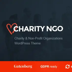 Ngo Theme – Charity Donation WP