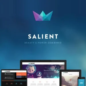Salient Theme Creative Multipurpose & WooCommerce Theme