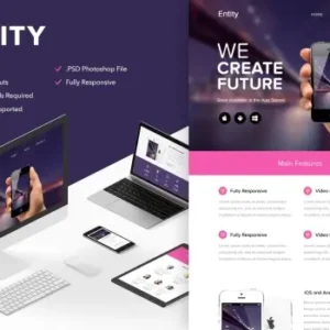 Entity – Responsive Email + Themebuilder Access | Email Templates