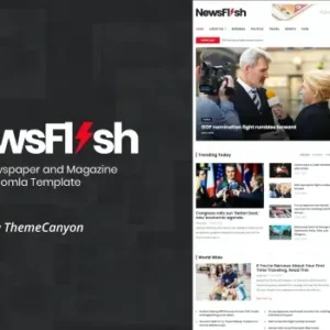 NewsFlash – Joomla News & Magazine Template