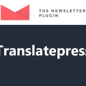 Newsletter Translatepress Addon