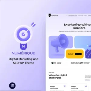 Numérique Theme – SEO Digital Marketing