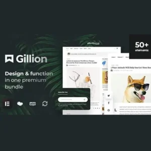 Gillion Theme – Multi-Concept Blog Magazine & Shop WordPress Theme