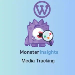 MonsterInsights Media Tracking Addon