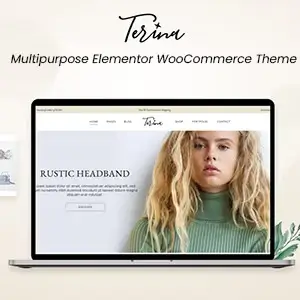 Terina Theme – Multipurpose Elementor WooCommerce Theme