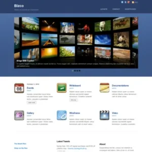 Themify Bizco WordPress Theme