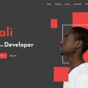 Aali – Personal Portfolio Template | HTML Template