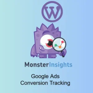 MonsterInsights Google Ads Conversion Tracking